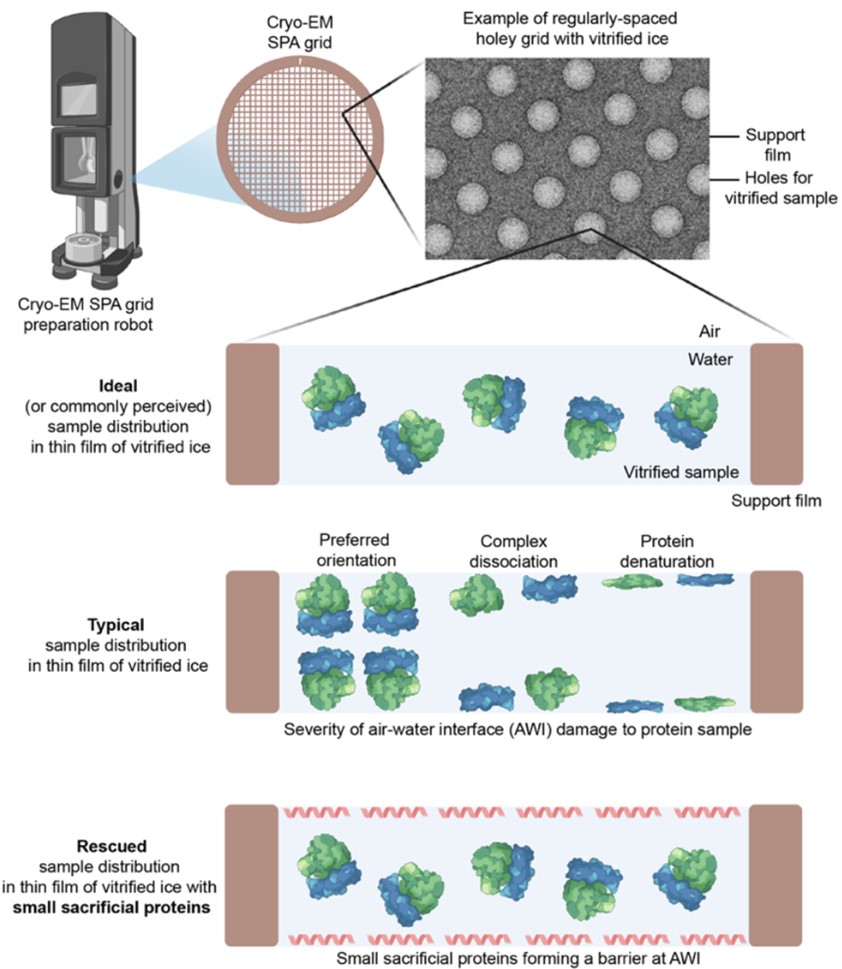 Sample preparation system